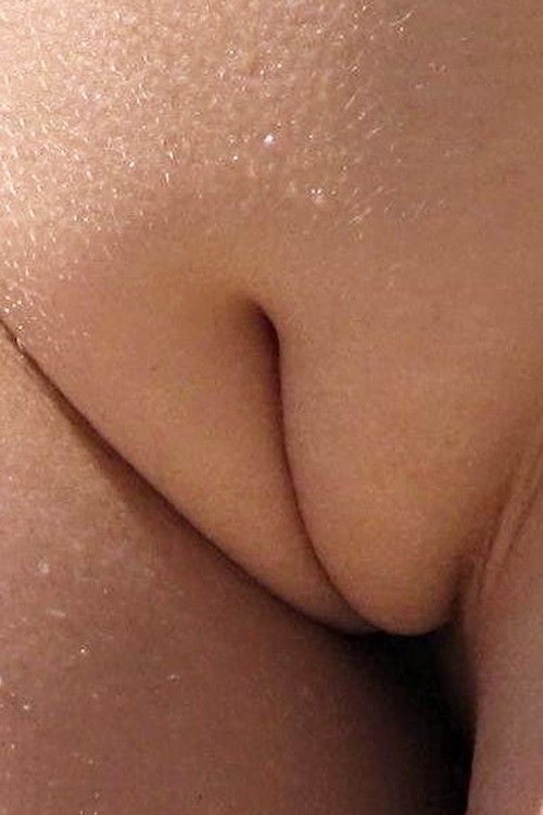 pussy