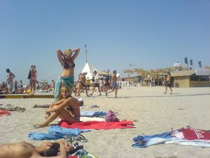 Nudism Beach Party