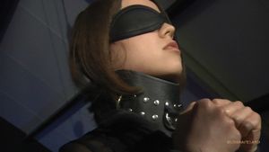 Petite slave blindfolded submissive in bdsm