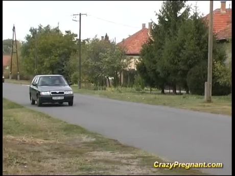 pregnant housewife fucked