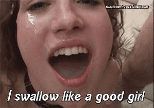 swallow gif