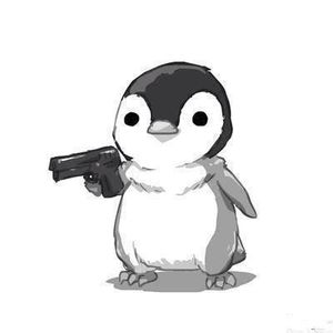 illegalpenguin Picture