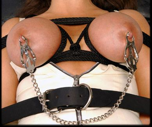 Wrapped and Clamped--Exquisite