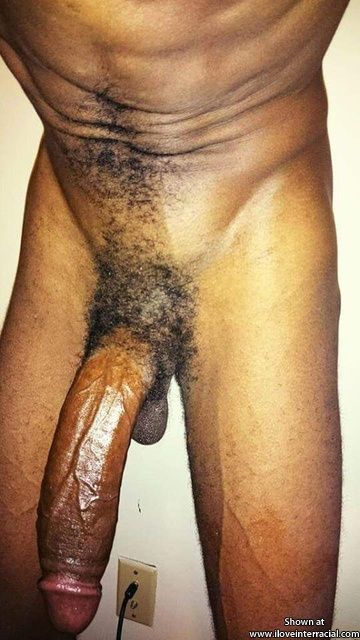 cock of the seven wonders of the world