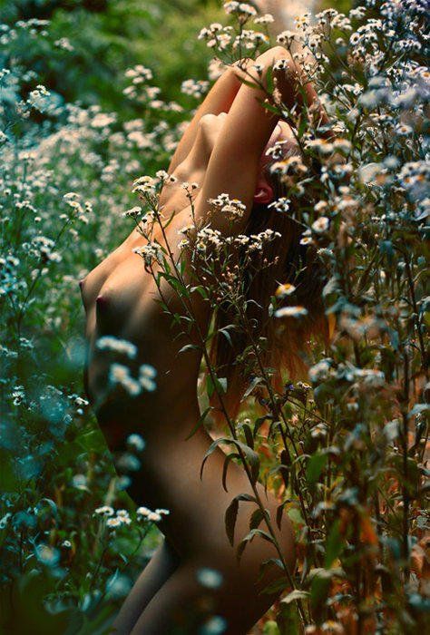 amongst the daisies