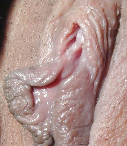 wet pussy close up