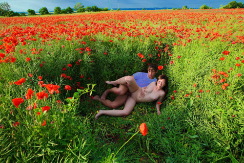 Defloration between flowers!Just found here.