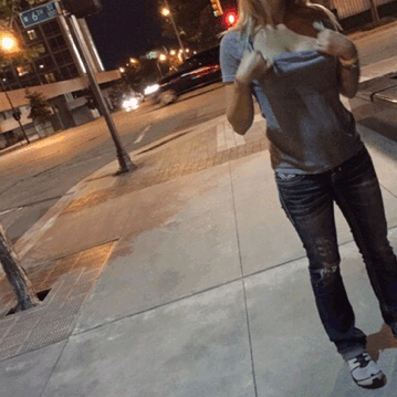 17640089.gif
