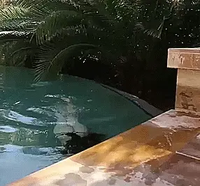 Nice tits swimming
