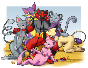 Pokemon cats