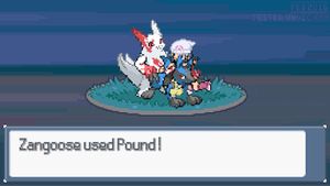 Zangoose used Pound!
