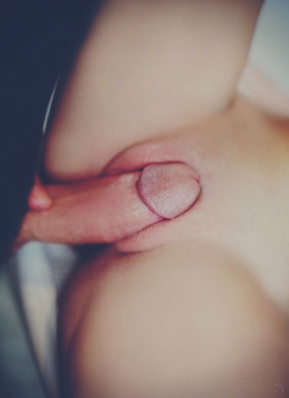 Stuffed
