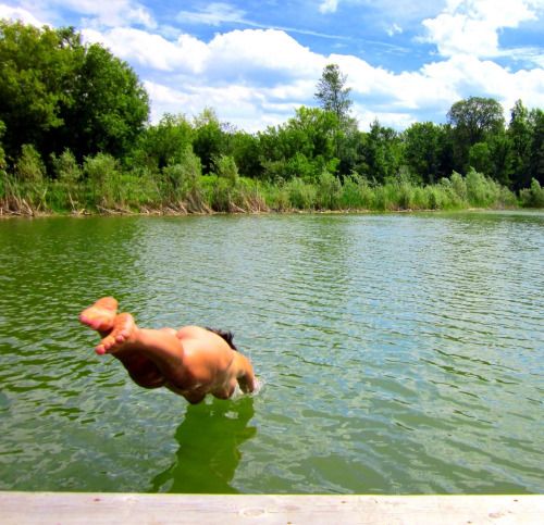 p–sychedelia:

winters-summer-home:

this is what i wanna do all...