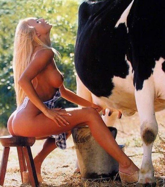cowgirl no1
