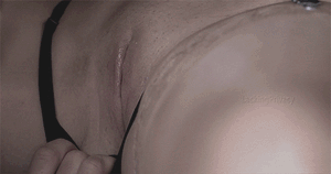 Shaven Haven