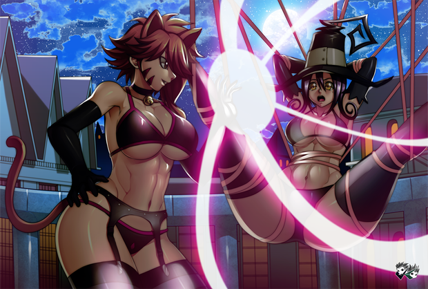 Cat Fight