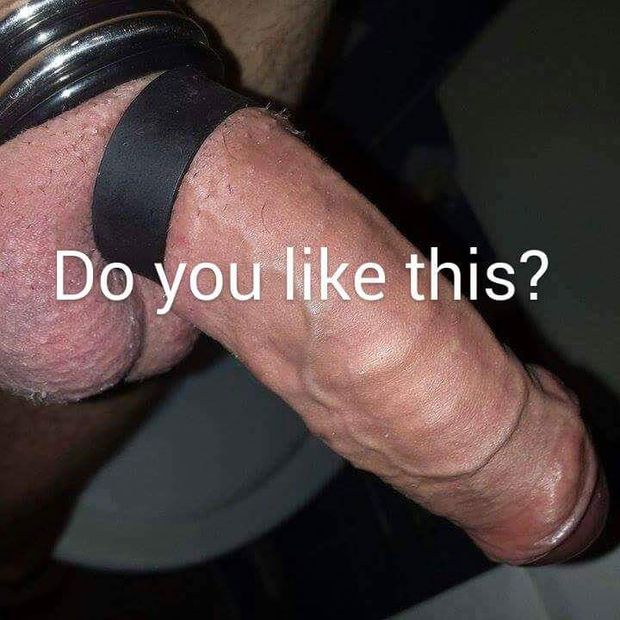 MY HARD COCK