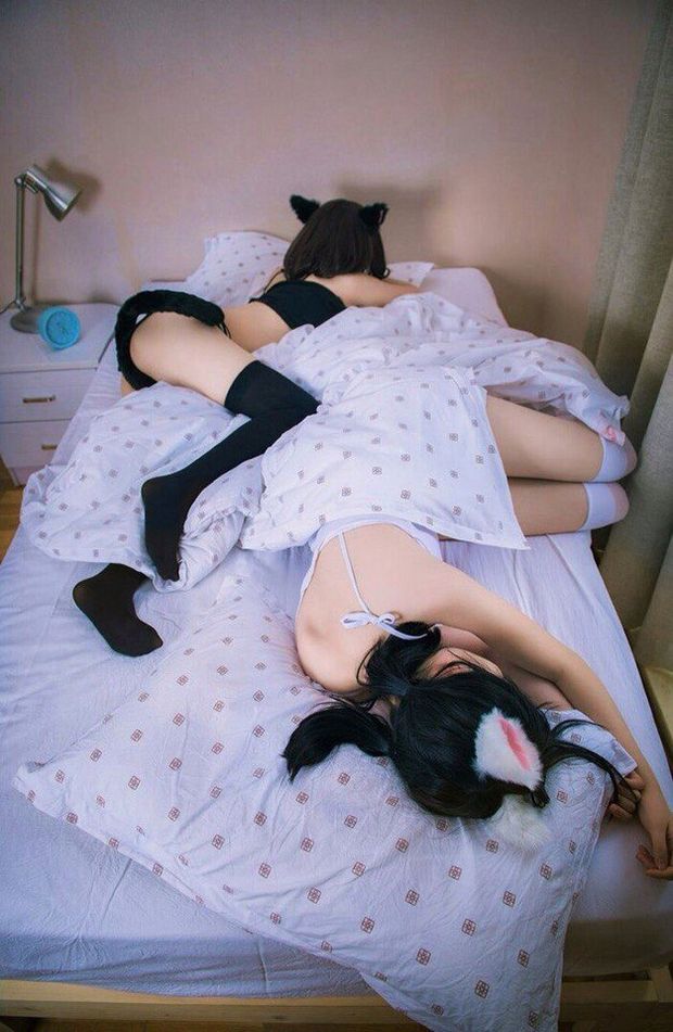 cats