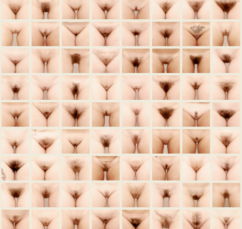forest of pussy