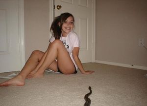 [ qt grrlz / June 2017 ]