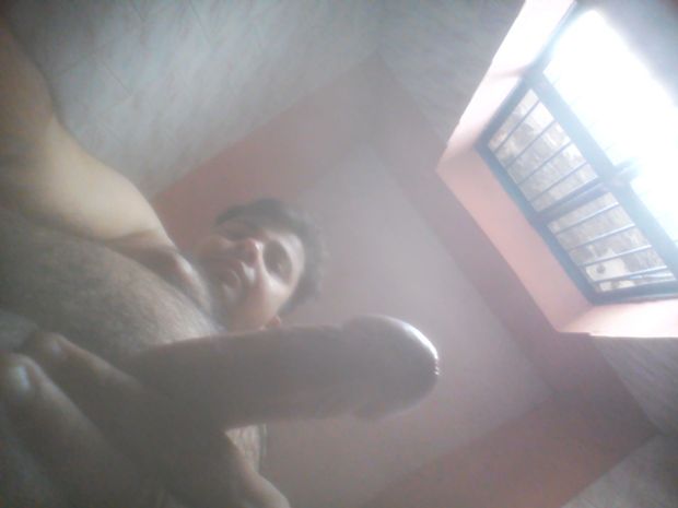 sexy gay cock