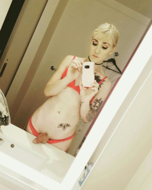Follow & Reblog