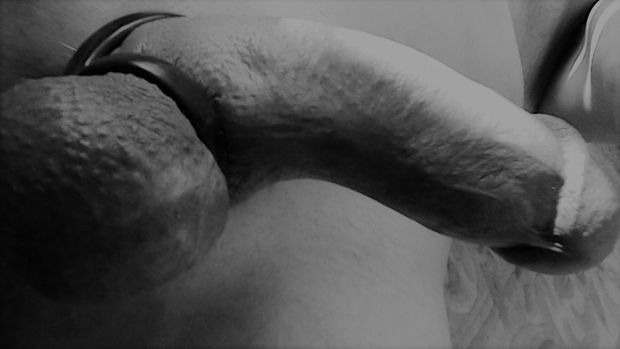 bisexual and submissive