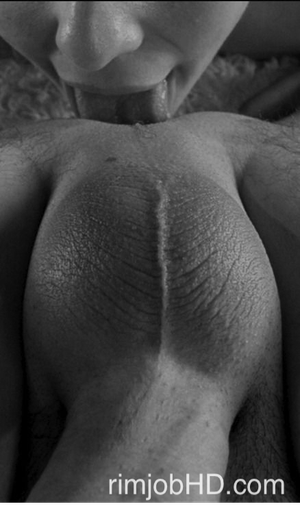 rimjob rimming