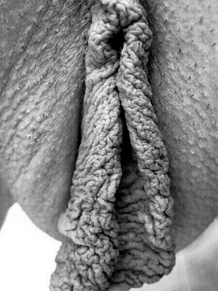labia 1