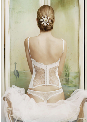Sultry Lingerie elegant beauty in sheer lingerie with a cute...