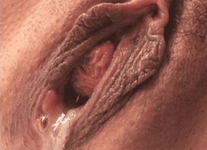 Quivering Asian pussy