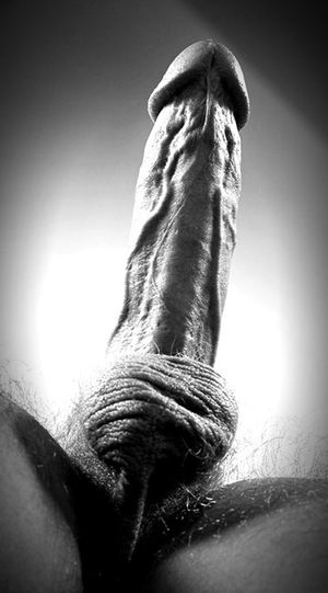 Delicious looking cock