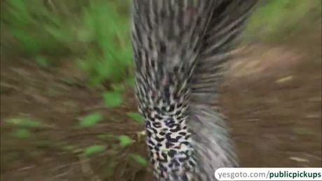 Pretty Euro babe Misha Cross, gets an offer from a random stranger to flash her tits for some cash. This stranger sure knows the right price