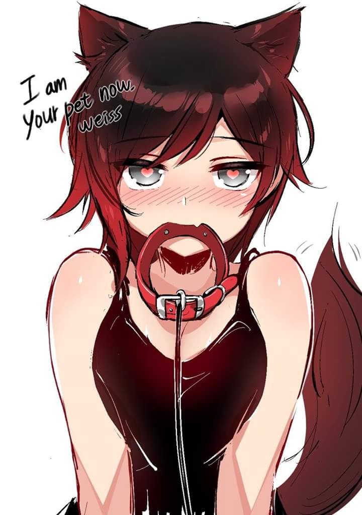 Pet redhead