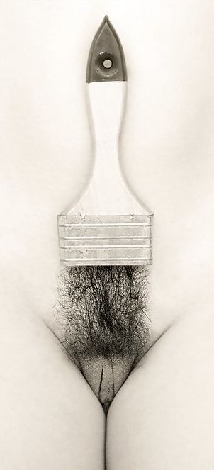 brush bush