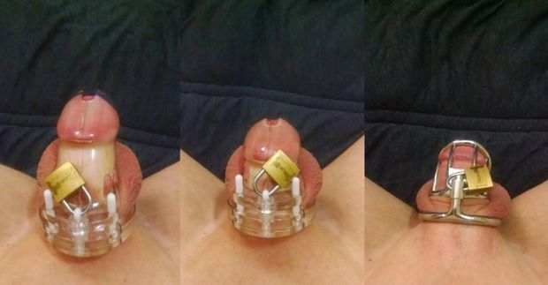 Chastity Evolution