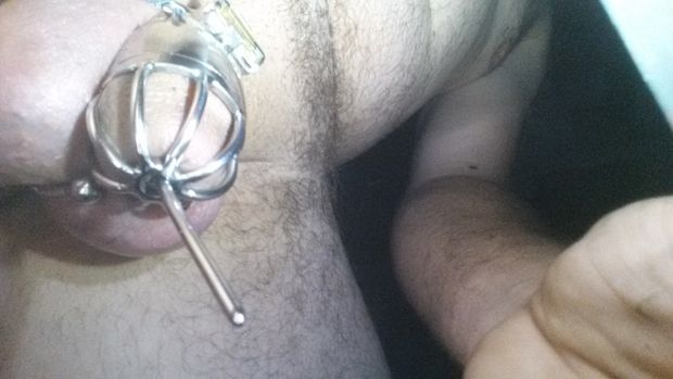in my cock cage