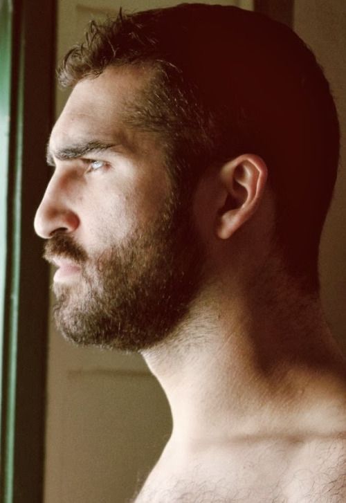 reblogged from...