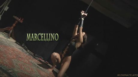 Brunette bondage and whipped