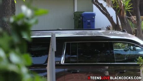 She is handle the BBC of the loan shark with her pussy