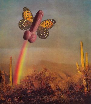 penis butterfly