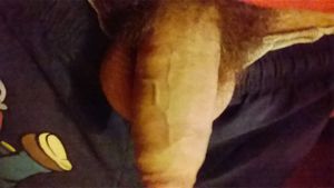 my penis