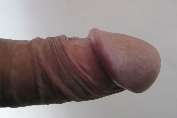 belle queue - beautiful cock - beau gland  #
