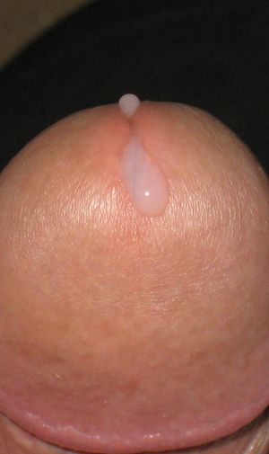 pré cum on dick - sperme au bout du gland #