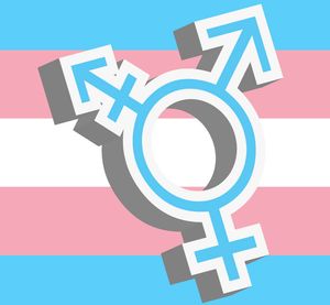 ShemaleDirectory Picture