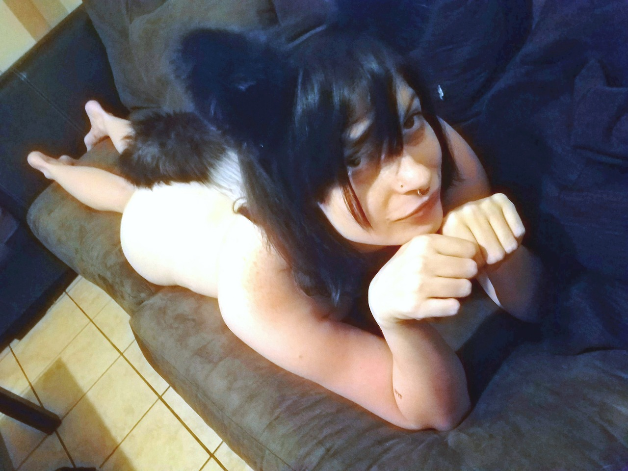 Kitten laying on a sofa