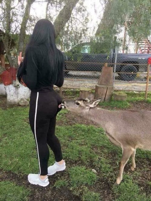 ass