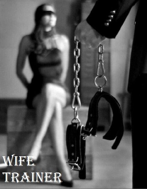 Wife Trainer Version 0.5b  by Wifetrainer