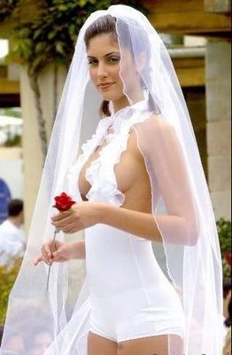 Bride wearing a very sexy wedding dress.