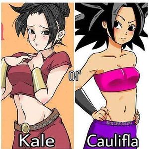 Dragon Ball- choices...